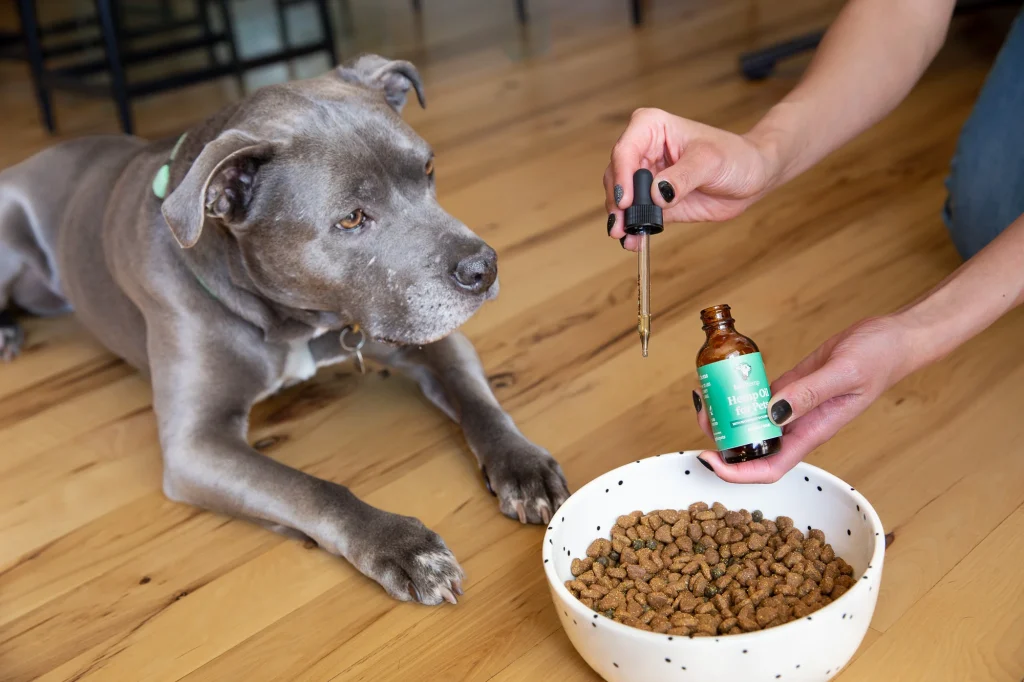 Benefits, dosage, and safety—the Ultimate Guide to CBD Oil for Dogs